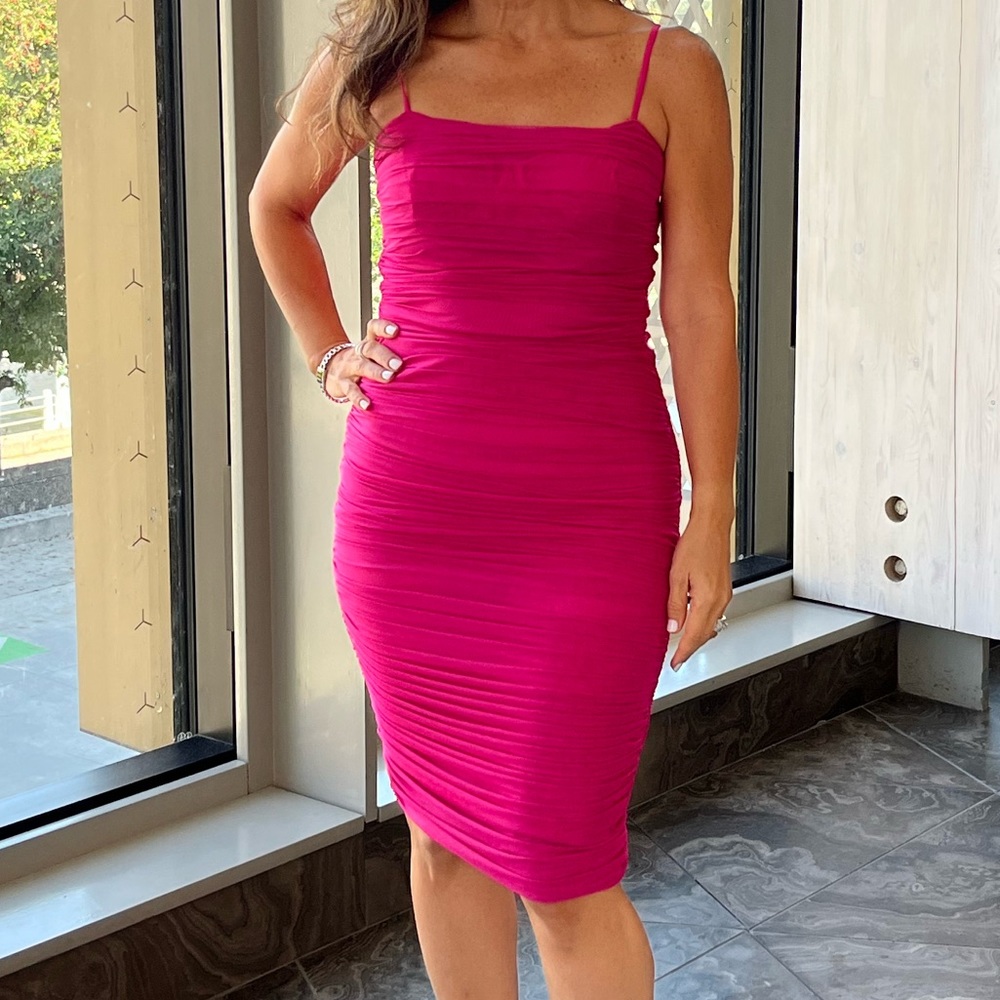 Babaton Luxor dress in hot pink.